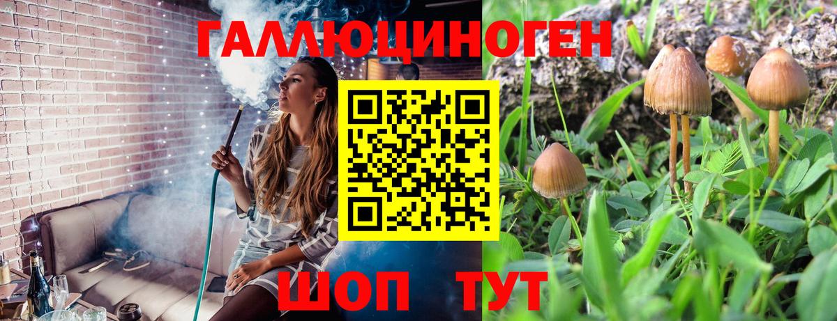 Галлюциногенные грибы Cubensis Уссурийск