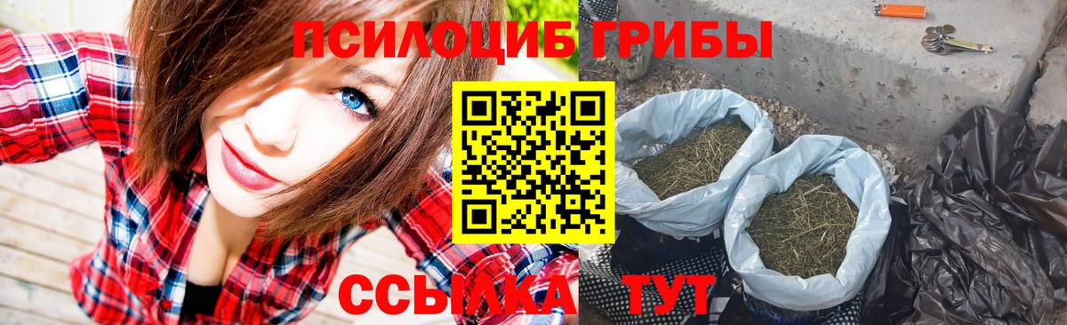 Уссурийск  Псилоцибиновые грибы прущие грибы  Вход с VPN 